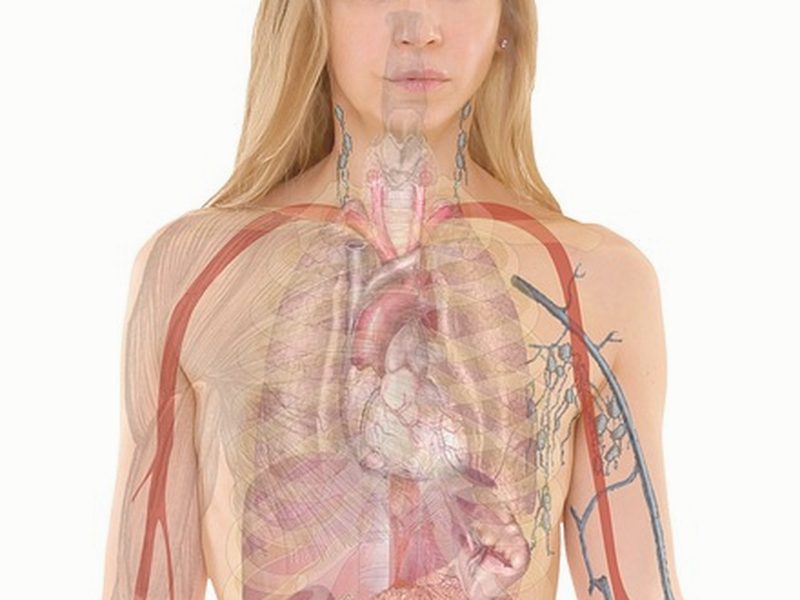 운전연수 후기