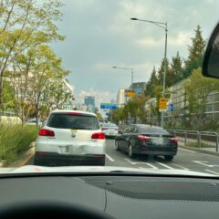 좌회전에 떨리는 심장