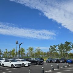 강남대로 주차 완전 압박감