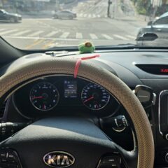 장롱면허 5년 만에 도로 복귀