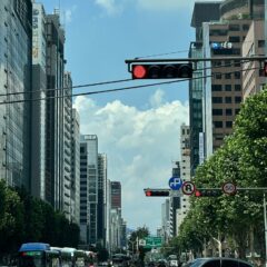 도심 운전에 완전 혼란스러웠어요