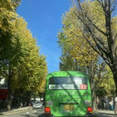 혼잡한 출퇴근 시간 피하고 싶었어요