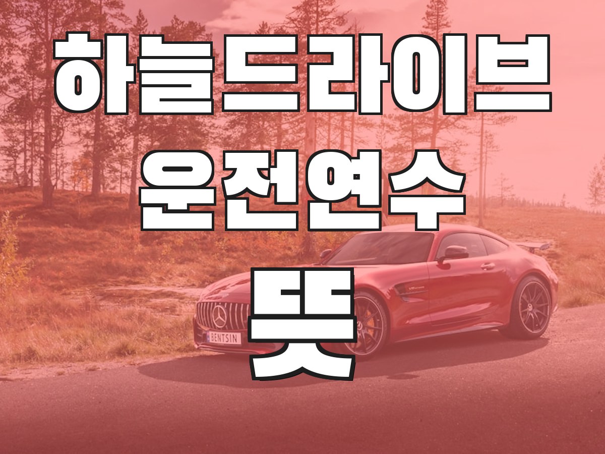 하늘드라이브 운전연수 뜻 - 운전연수의 의미와 필요성