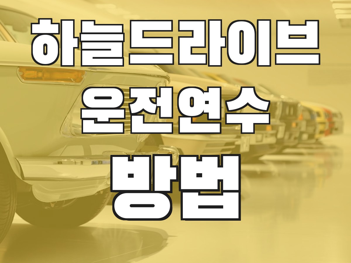 하늘드라이브 운전연수 방법 - 연수 진행 과정 안내
